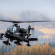 Image via Airglas the maker of the Apache’s skis